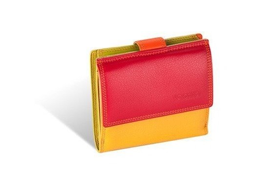 Kleine bunte Brieftasche Valentini Colors