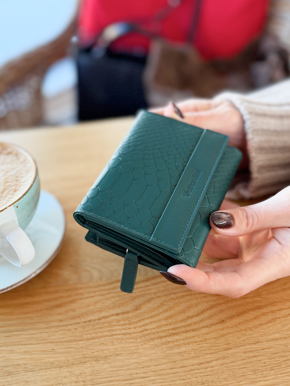 Valentini Metallic 101 Etui für grüne Karte und Dokumente