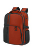 Samsonite Biz2go 15,6" Laptop-Rucksack 