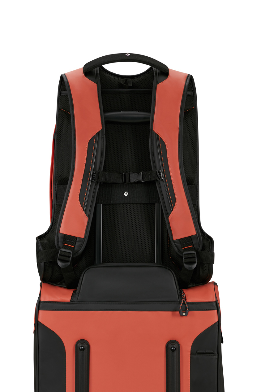 Samsonite Ecodiver L 17,3" Laptoprucksack, grün